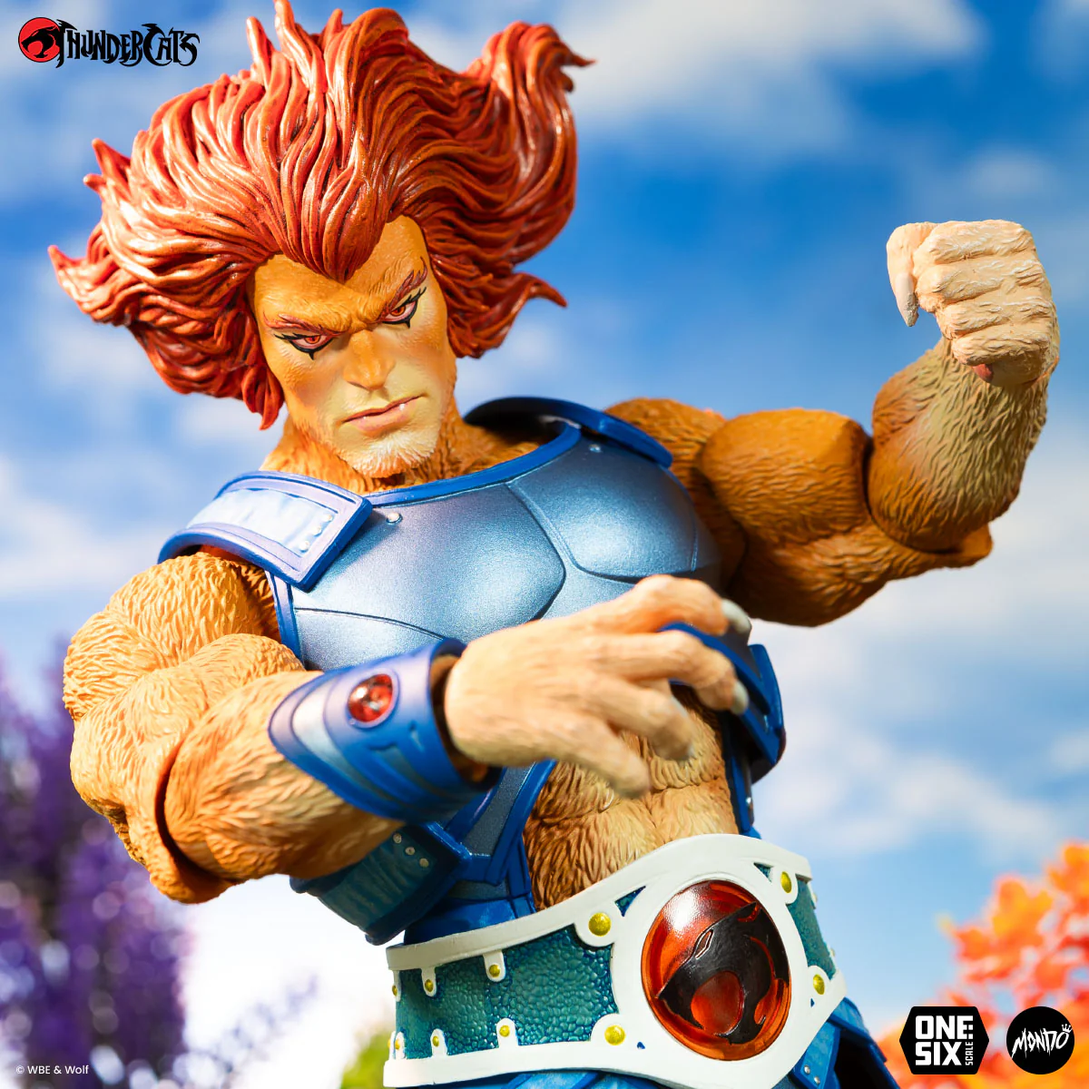Product image 16